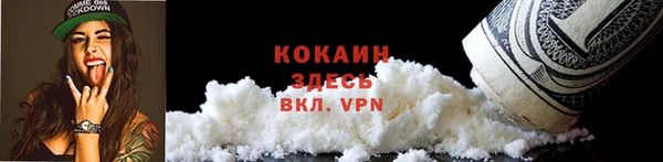 трава Аркадак