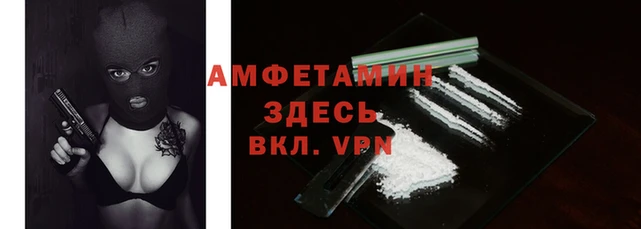 трава Аркадак