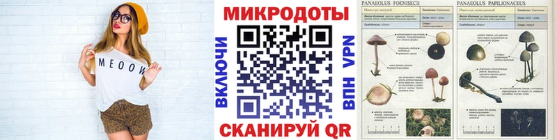 продажа наркотиков  Баймак  Псилоцибиновые грибы Psilocybine cubensis 